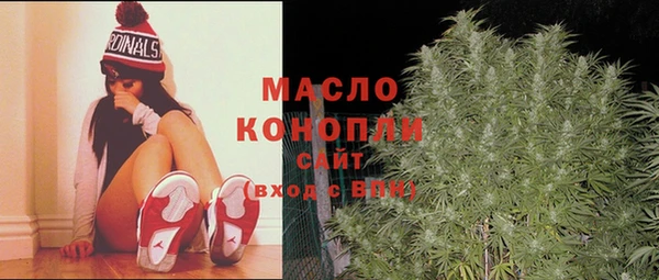 молекула духа Алексеевка