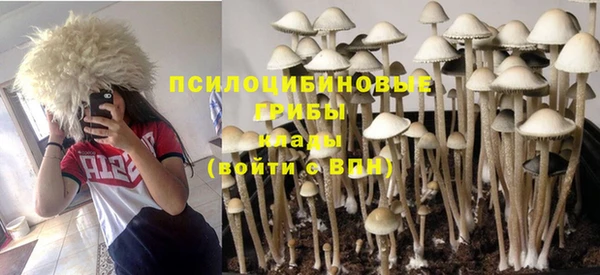 гидропоника Алексин