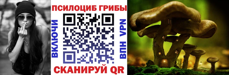 Псилоцибиновые грибы ЛСД  Андреаполь 